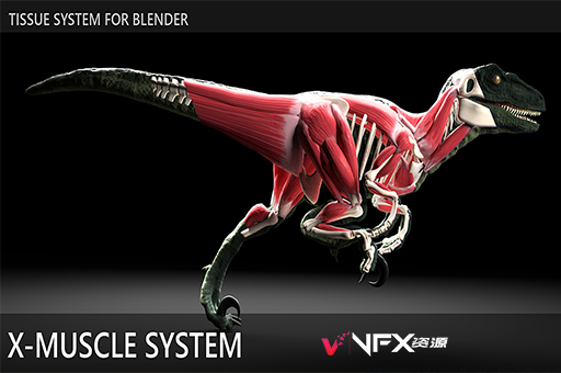 Blender插件-肌肉系统模拟工具 X-Muscle System 3.0Blender插件