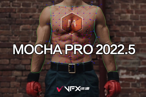 AE/PR/OFX/达芬奇插件摄像机反求跟踪摩卡软件-Mocha Pro 2022.5 v9.5.4 CE WinAE插件、PR插件、其它软件、达芬奇插件