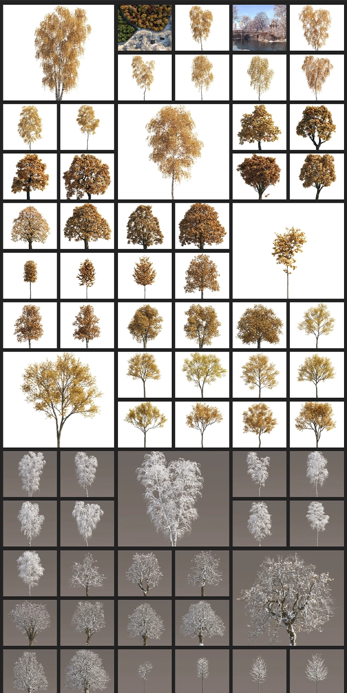 3D模型-120种春夏秋冬植物树木模型 Archmodels Vol.2583D模型、素材