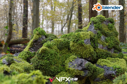 3D模型-苔藓石头资产预设 Moss 7 Species and Stones – PBR Asset Kit3D模型、素材