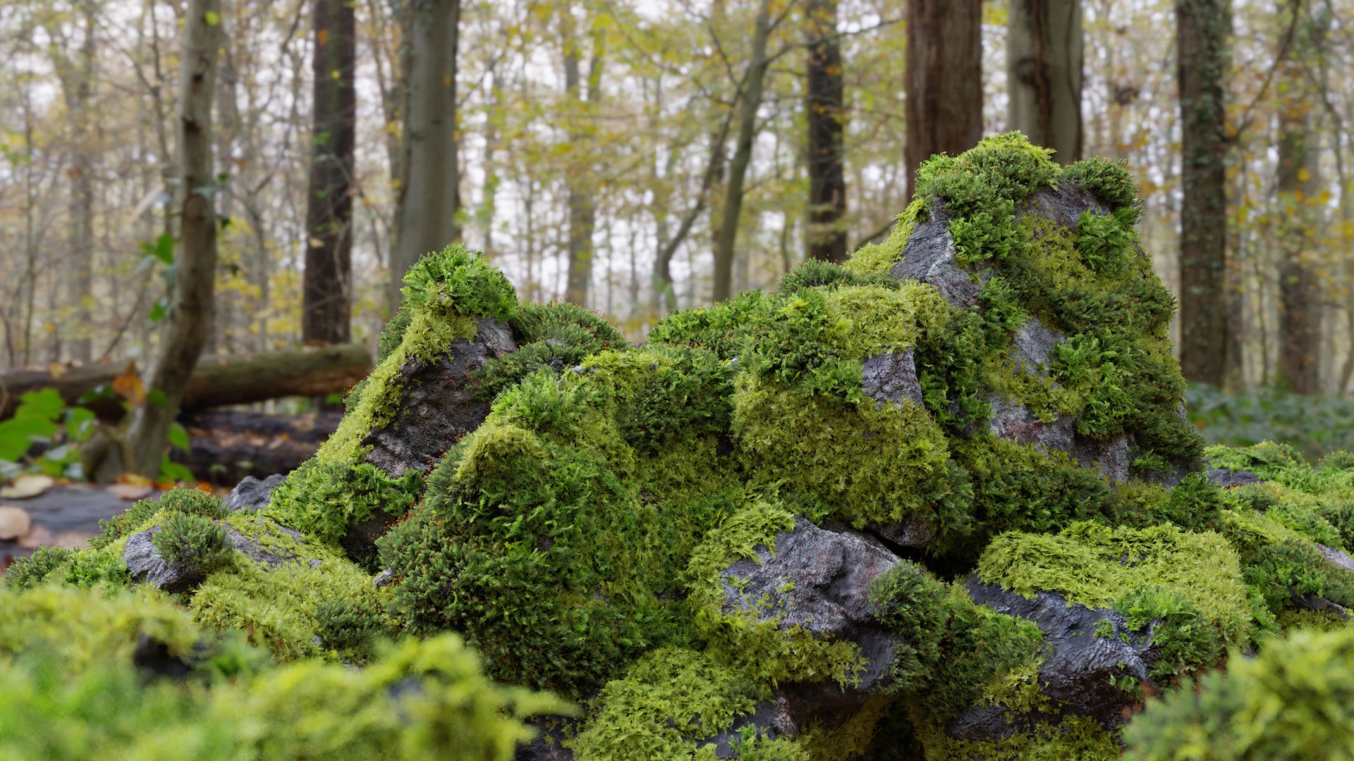 3D模型-苔藓石头资产预设 Moss 7 Species and Stones – PBR Asset Kit3D模型、素材