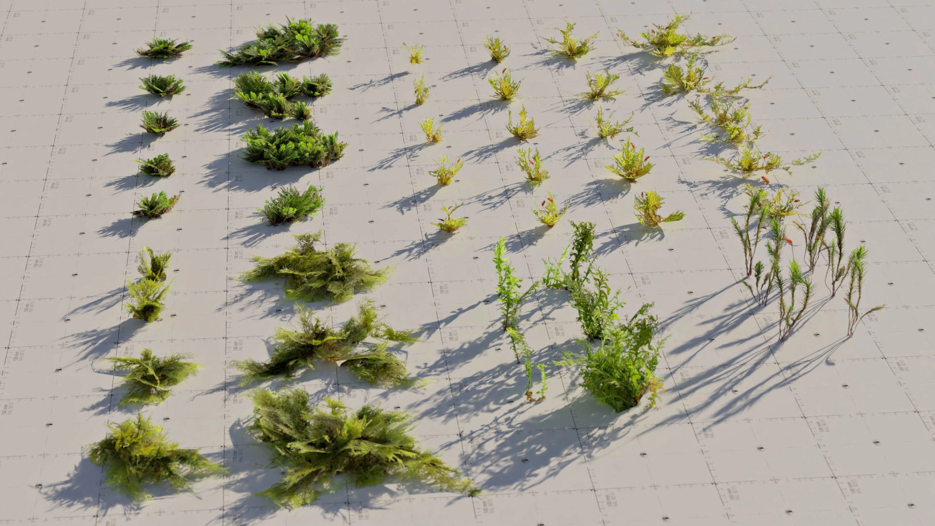 3D模型-苔藓石头资产预设 Moss 7 Species and Stones – PBR Asset Kit3D模型、素材