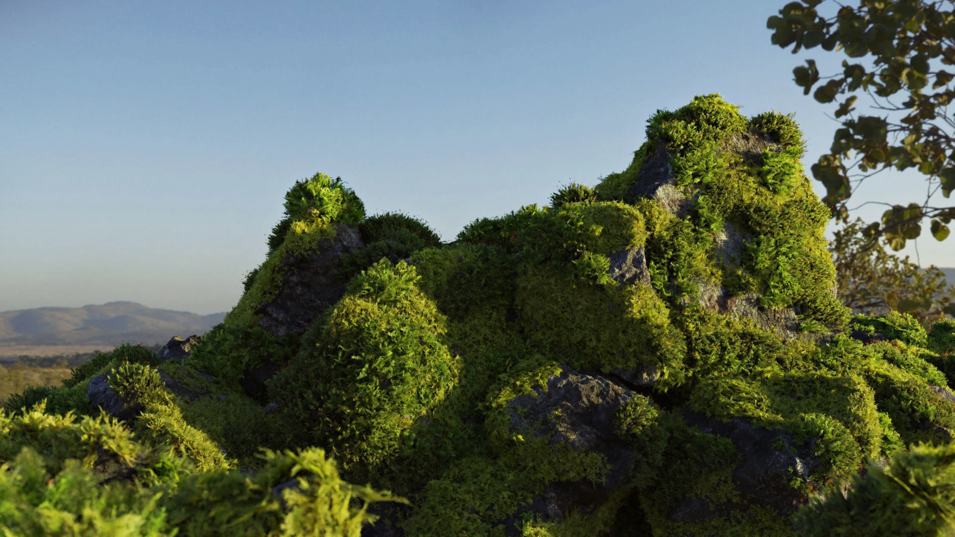 3D模型-苔藓石头资产预设 Moss 7 Species and Stones – PBR Asset Kit3D模型、素材